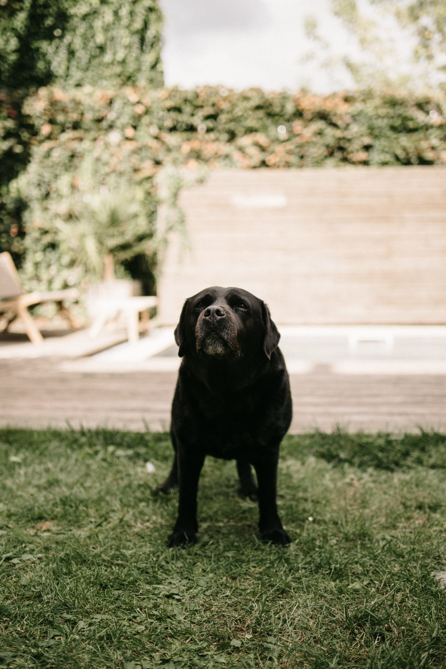 portraits de famille